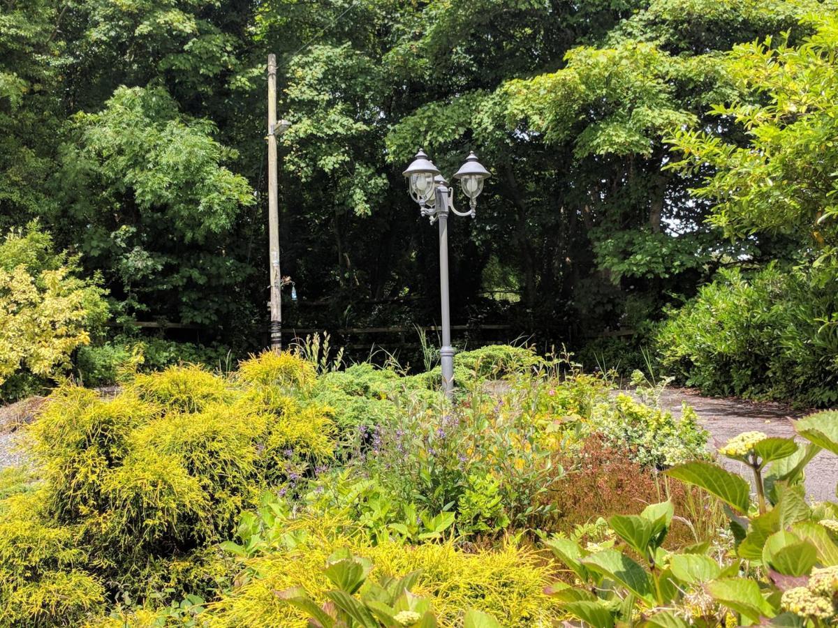 Lough Gara Lodge Self Catering Gorteen  Экстерьер фото